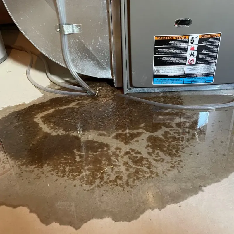 Pipe Burst and Leak Restoration in Scranton, PA