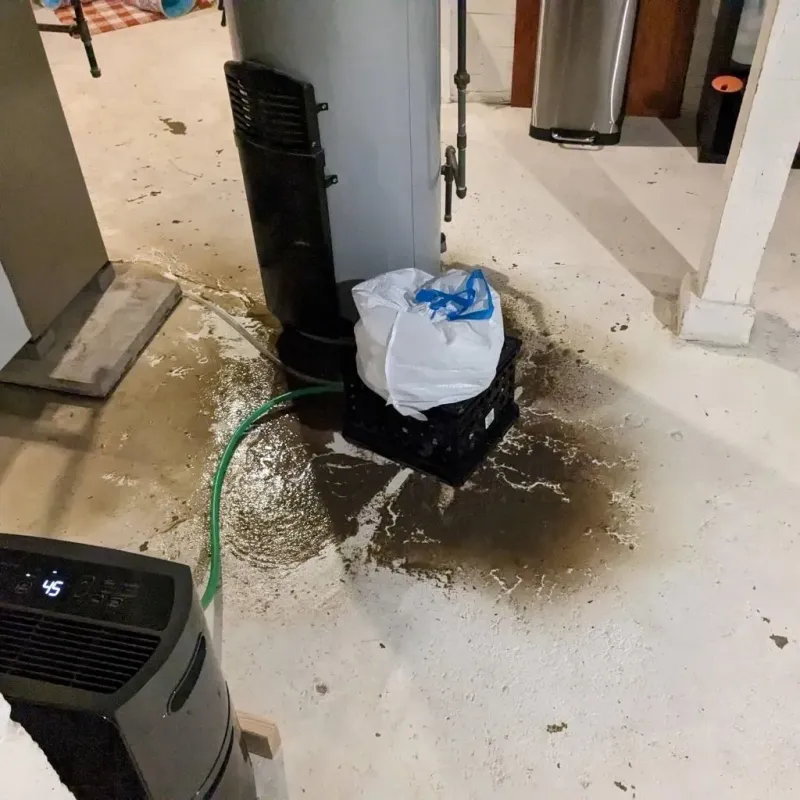 Sewage Backup Cleanup Service in Scranton, PA